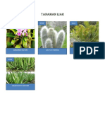 Gambar Tumbuhan Liar PDF