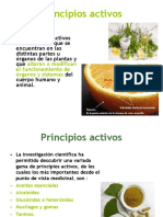 Principios Activos Plantas