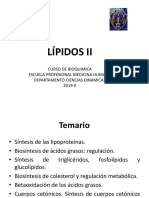 Lípidos II