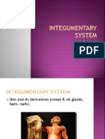 Ch. 5 Integumentary System