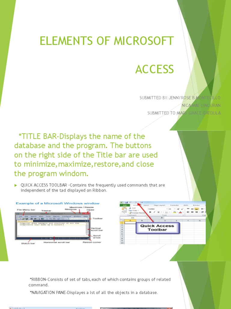 Elements of Microsoft Access: Submitted By:Jennyrose B Montecillo Nica ...