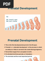 Prenatal Development Part 1 by Lea Cortez