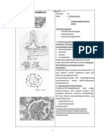 PP Histo Modul 1.2 Unwahas 1018