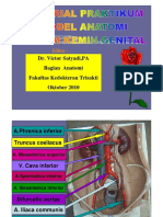 PDF LATIHAN PRAKTIKUM MODEL Sistem Kemih Genital 1C 2010 PDF