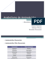 Anabolismo de Aminoácidos