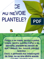 Plante Si Animale