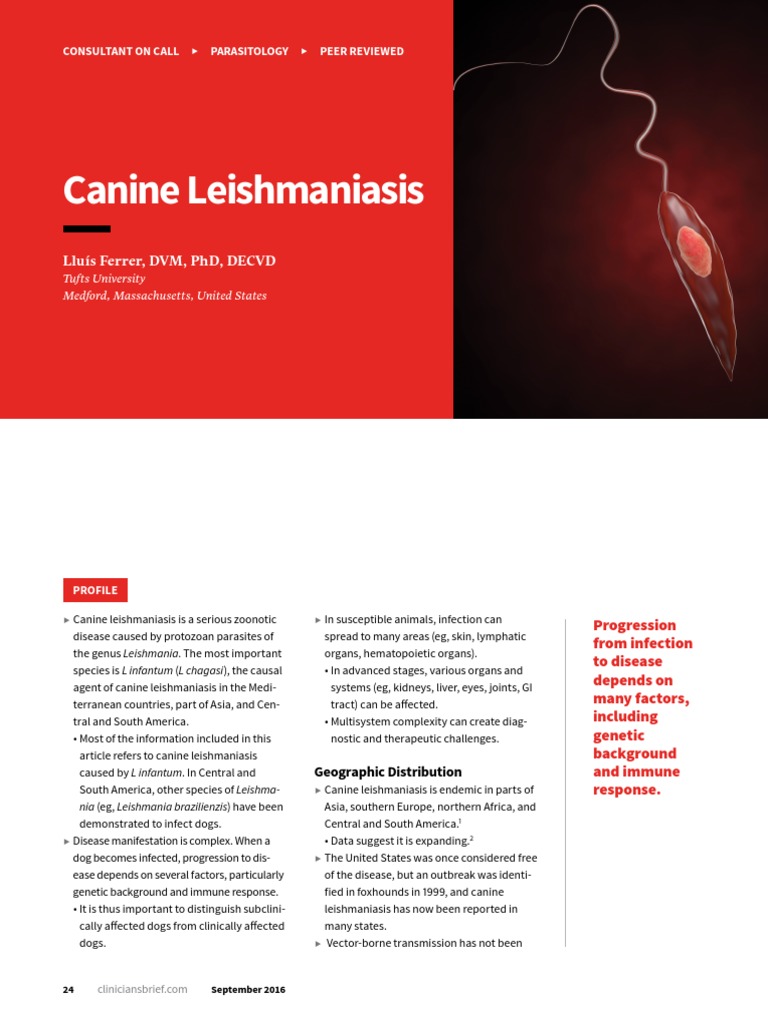 Canine Leishmaniasis 0 | PDF | Infection | Diseases And Disorders