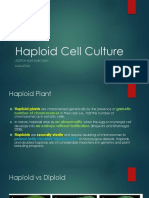 Haploid Cell Culture Boosts Pak Choi Breeding