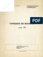 vol13_topizado_bovinos_op.pdf