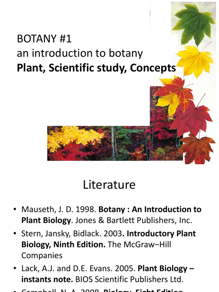 floor stand for plants Chunky Wooden Plant Stand  REmix Design