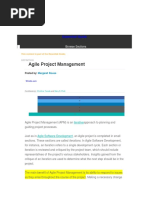 Agile Project Management