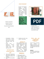 Leaflet Filariasis 