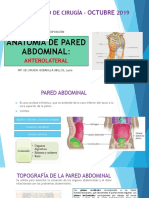 Pared Abdominal Anterolateral