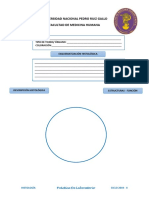 Histología práctica laboratorio 2019