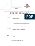 62592006-PERFIL-PROYECTO-PRIVADO.docx