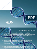 ADN trabalho.pptx