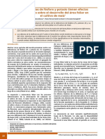 Las Deficiencias de Fósforo y Potasio Tienen Efectos Contrastantes Sobre El Desarrollo Del Área Foliar en El Cultivo de Maíz