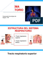 Morfofisiologia Del Sistema Respiratorio