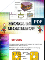 Sitosol