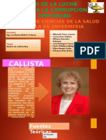 Modelo de Callista Roy