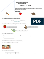 Pruebas de Diagnóstico de Tercer Año