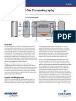 application-note-fundamentals-of-gas-chromatography-danalyzer-en-43550.pdf