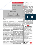 Propagación de levadura.pdf