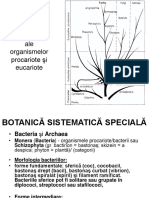 BS 2 Bacterii