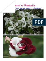 Flores de Australia.pdf