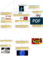 Sistema Inmunologico Cuadro Sinoptico