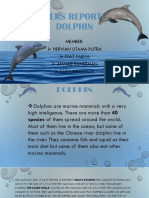 Teks Report: Dolphin: Member: Hervian Utama Putra Diaz Fasha Ahmad Suherman Fathurrahman