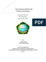 Critical Journal Review Mega Utami Uinsu Medan (Manajemen Organisasi) PDF