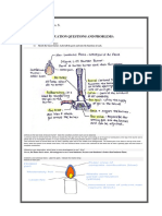 Embuscado, Rafael Inigo, S.: Experiment No. - 1 - Group No. - 4 - Answers To Evaluation Questions and Problems