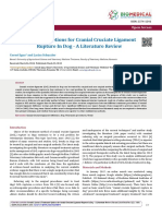 Treatment Options For Cranial Cruciate Ligament Rupture