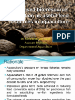 Insect Based Alternatives in Aquaculture