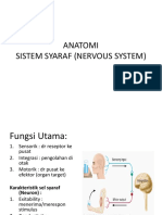 Anatomi SYARAF