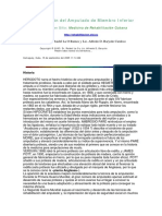 Rehabilitación del Amputado de Miembro Inferior.pdf
