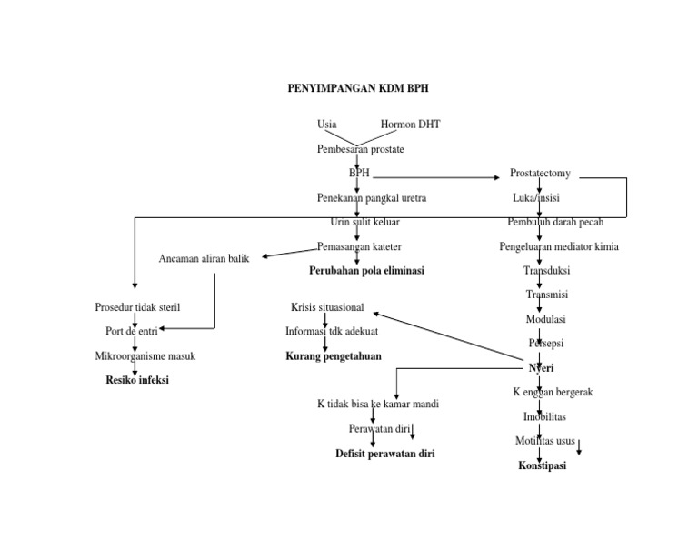Pathway BPH dan Komplikasi Pasca Operasi | PDF