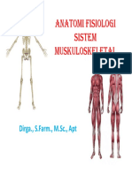 Materi Kuliah Muskuloskeletal PDF