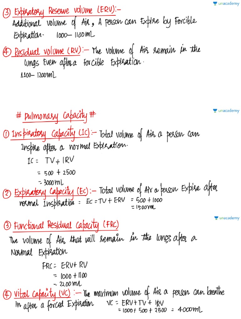 RESPIRATORY SYSTEM HANDWRITTEN NOTES PDF CLASS 10 visual data 3