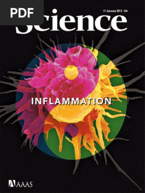 Inflammation Pdf Histone Gene