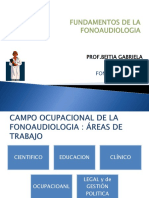 Campo de La Fonoaudiologia