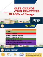 Climate Change Adaptation Practices in LGUs of Caraga