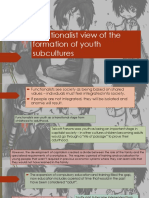 Functionalist View of The Formation of Youth Subcultures