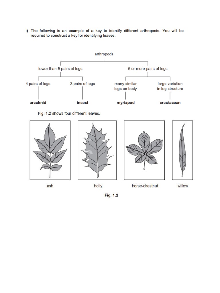 Construct Key | PDF