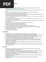 Muldowney Protocol for hEDS Therapy | PDF | Physical Therapy | Pain