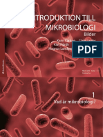Introduktion Till Mikrobiologi - Presentation 32976 - Bilder - 1