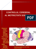 CONTROLUL CEREBRAL al motilitatii somatice.ppt