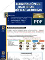 Determinación bacterias mesófilas aerobias