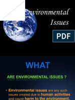 Enviromental Issues